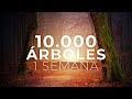 🌳¿Nos ayudas a PLANTAR 10.000 ÁRBOLES? 🌳