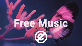 [Non Copyrighted Music] dyalla - Wonderful [Chill Electronic]