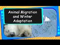 Winter Survival Strategies in Animals and Humans