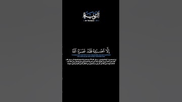 سورة التوبة الآية 40 الشيخ اللحيدان #quran #guidance #قرآن #لايك #اكسبلور #حالات_واتس #راحة_نفسية