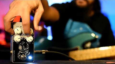 CHUCK PEDALS DIVER FUZZ BASS DEMO