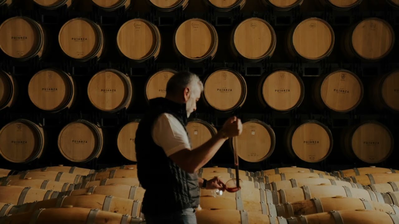 Un año con Bodegas Pujanza | Viñedos en Laguardia, Rioja Alavesa