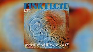 吹けよ風、呼べよ嵐  One Of These Days - Pink Floyd