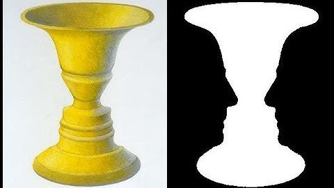 Point Processing Technique- Digital Negative