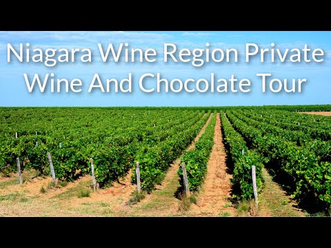 Niagara Wine Region – Private Wine and Chocolate Tour | ToNiagara