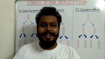 DNA replication models I semiconservative , conservative and dispersive model I