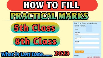 How to Upload Practical Marks 5th 8th Class on PSEB || 5th 8th Pseb Practical Marks Entry 2023