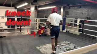KNOCKDOWN! Boxer shows heart after getting knockdown. sparring videos boxing