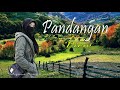 Pandangan  almanar koleksi album