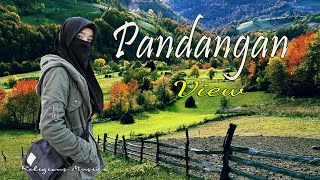 Pandangan - Almanar Koleksi Album