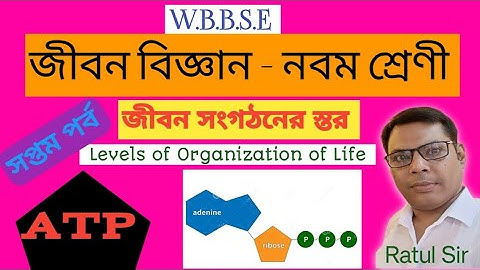 জীবন সংগঠনের স্তর ০০৭।।WBBSE।।Class 9। Life Science Chapter 2।।Biomolecules।।ATP।।জৈবঅণু।। ATP।।