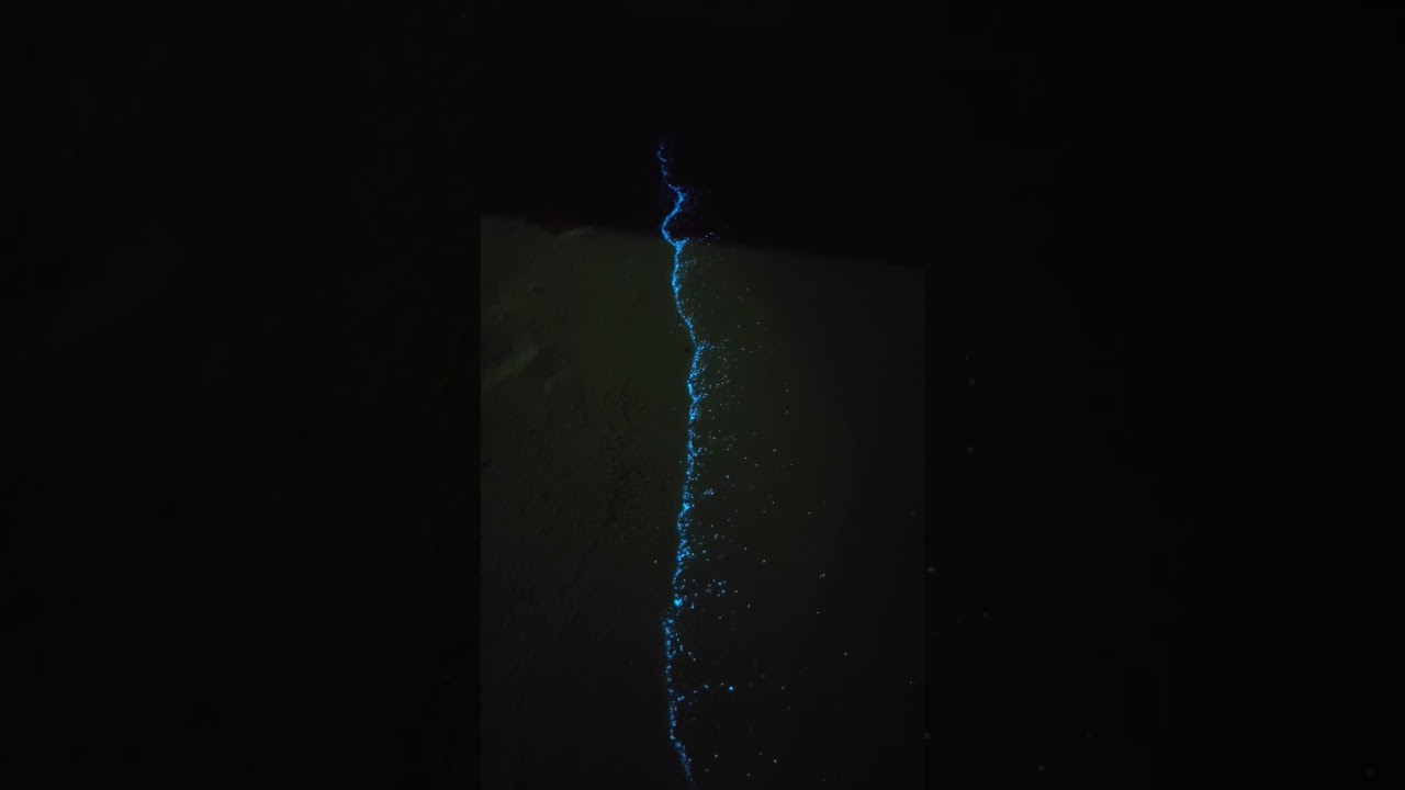 Maldives beach night 🌃