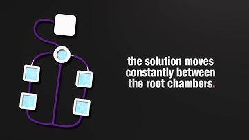 DWCRDWC  Whats the difference