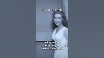 ATTACK OF THE MOLEMEN - original music by bob harris. All rights reserved Bearberry Path Music 2023.