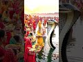 Chhath Ghat Par Saamp Dikhai Diya 🐍