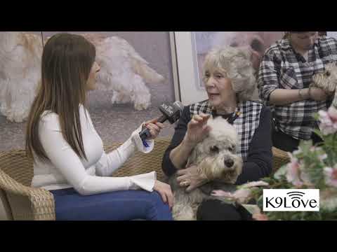 Видео: Порода кучета Dandie Dinmont Terrier Hypoallergenic, Здраве и живот