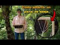 Como sujetar un panal de abejas en un cuadro 🐝