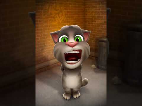 توم المتكلم يغني تشيكي تشيكي تا على طريقته