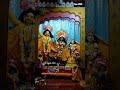 1jan 2025 Darshan Radhamadhav 🥰💛💙🌼🙏#radhamadhav #mayapurtv #love#viralvideo#viralreels #highlights