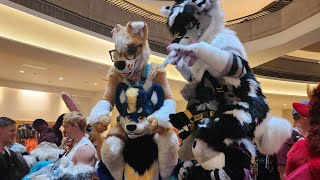 FWA 2026 experience 