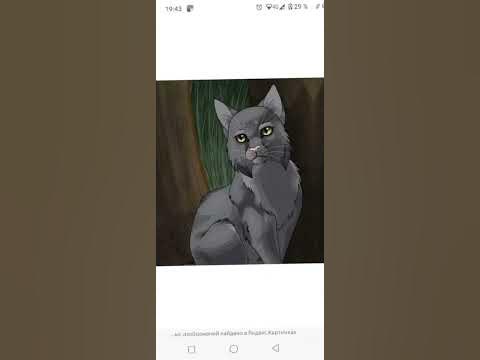 Огнезвезд и Крутобок||#возрадимрукв - YouTube