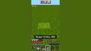 😮‍💨spawn Entity 303😰#minecraft #viral #shorts