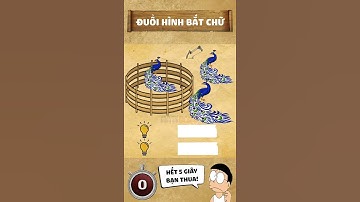 1+ Câu đố Đuổi Hình Bắt Chữ này có làm khó bạn T217? Thử thách Đuổi Hình Bắt Chữ Siêu Tốc Haticado