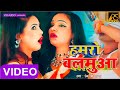 [VIDEO] Hamro Balmua Daru Pee Ke Baurai Gaile  | Prem Ravi Sagar | Bhojpuri Video Song 2020