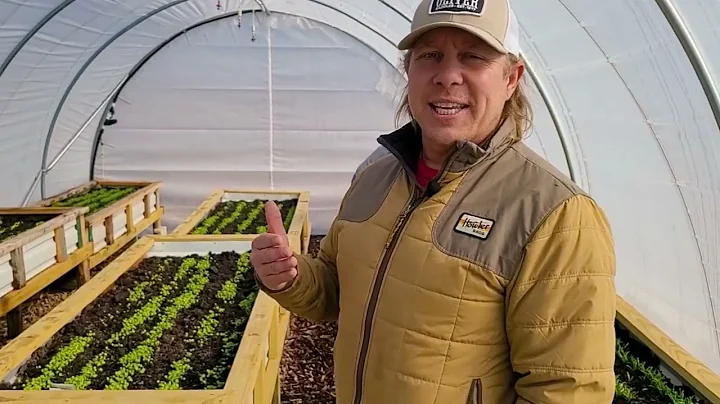St. Peter's Farm Project
