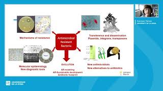 Health Technologies Research Lines