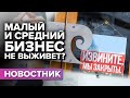 Выживет ли малый и средний бизнес в России?