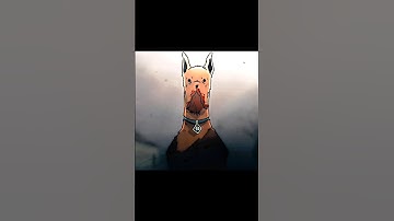 Scooby