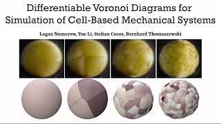 Differentiable Voronoi Diagrams for Simulation of Cell-Based Mechanical Systems