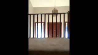 1505 S Magnolia Ave. BROKEN ARROW OK 1505 S Magnolia Ave. BROKEN ARROW OK