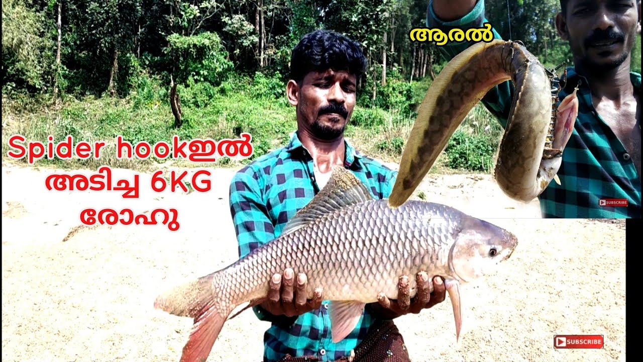 Carp Fishing In RiverRoohu Catching In MalayalamFishing YouTube