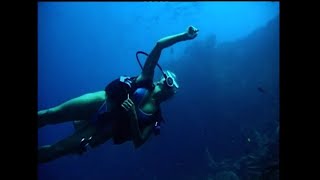 Scuba Diver Exploring Underwater Wreck