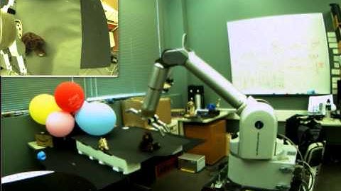 Human Teleoperation to Grasp Objects by Human Visual Feedback