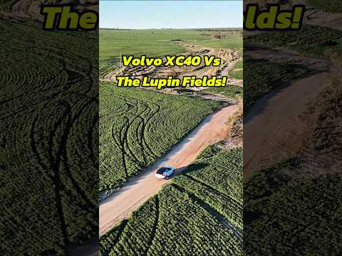 XC40 Vs The Lupin Fields