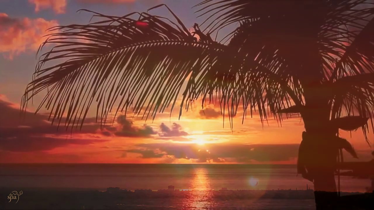 Arabic visual data 6