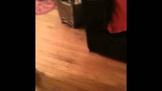 ちょうちん鮟鱇