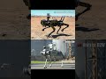 Robot Chó AI Mỹ vs Trung Quốc | Chiến Tranh Tương Lai Sẽ Thuộc Về Ai?