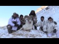 Kyrgyzstan Tian Shan and Hume argali trailer