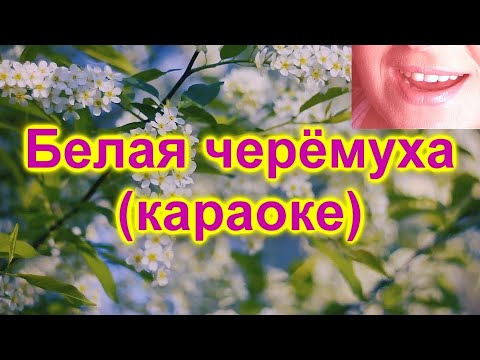 Караоке - Ах Черёмуха Белая - Караоке Поём Вместе - Караоке Песня Для Компании