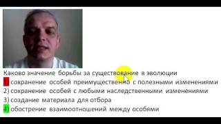 Разница между борьбой за существование и естественным отбором Разница между борьбой за существование и естественным отбором