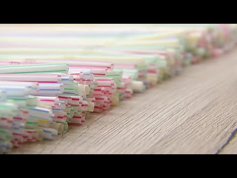 Videó: New York Szinte Az összes Egyszer Használatos Műanyag Zacskót Betiltja Az állam Egész Területén