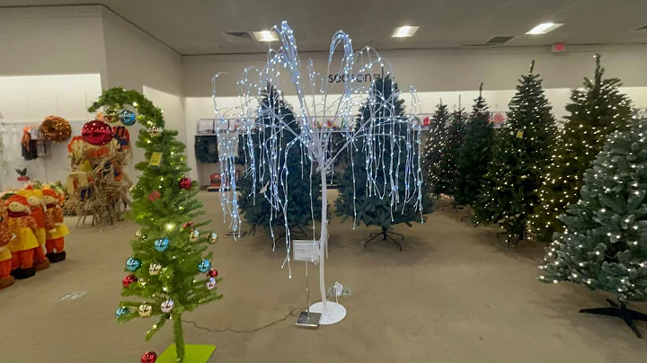 The Best Christmas Shopping in Boscov's