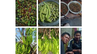 Hafta nilang sumanga ka party hotoh kahung kisahlelnao anave taote🤗🤗