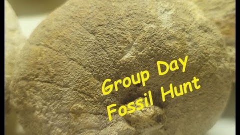 Texas Fossil Hunting - Group Day 2