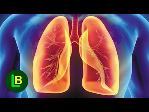 Cleanse your lungs in two days. You only need two ingredients