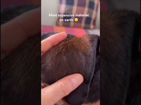 It S Hard To Maintain 